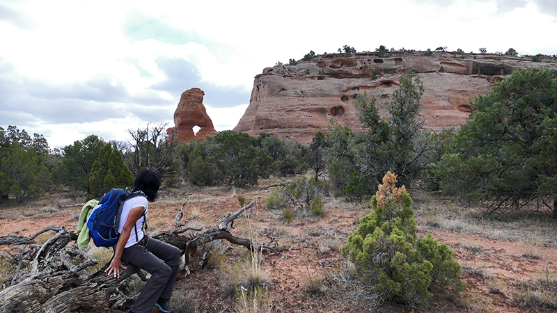 South American Arch [Black Ridge Canyon Wilderness]