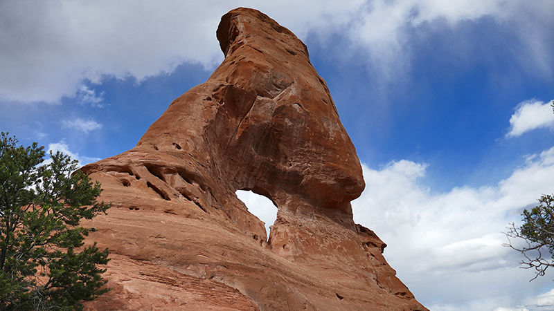 South American Arch [Black Ridge Canyon Wilderness]