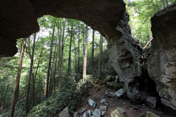 Split Bow Arch