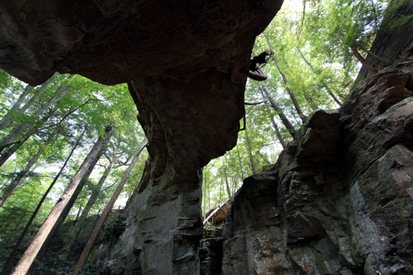 Split Bow Arch