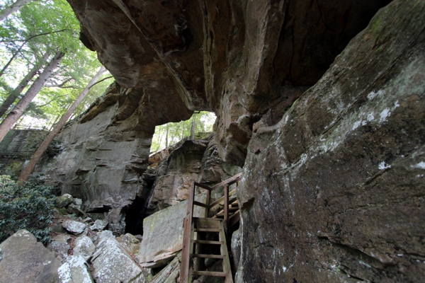 Split Bow Arch