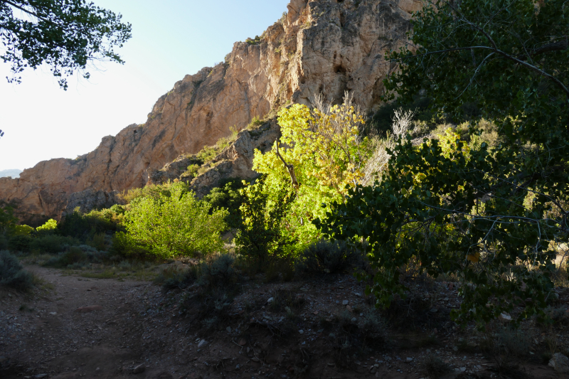 Spring Creek [Hurricane Cliffs]