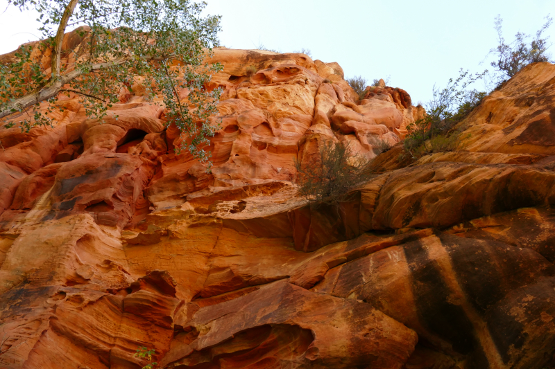 Spring Creek [Hurricane Cliffs]