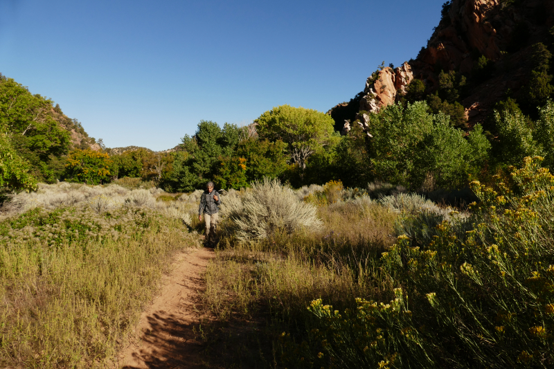 Spring Creek [Hurricane Cliffs]