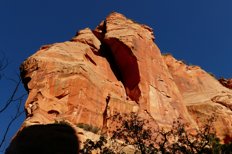 Spring Creek [Hurricane Cliffs]