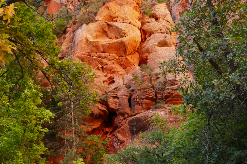 Spring Creek [Hurricane Cliffs]