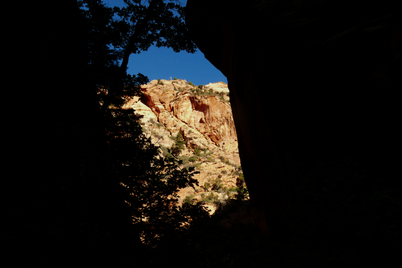 Spring Creek [Hurricane Cliffs]