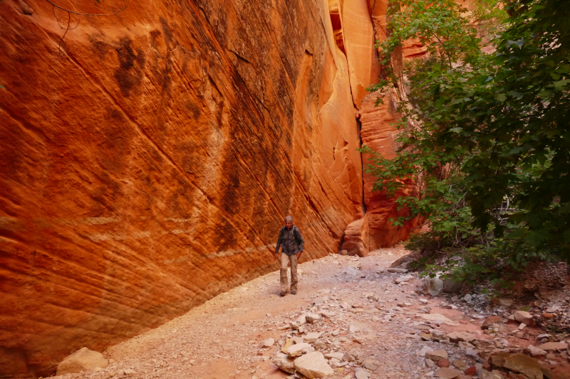 Spring Creek [Hurricane Cliffs]