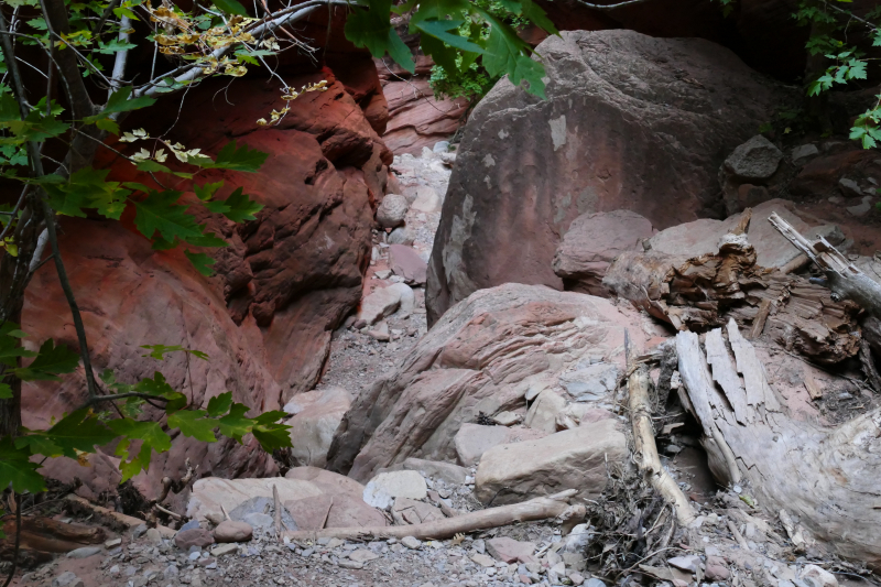 Spring Creek [Hurricane Cliffs]