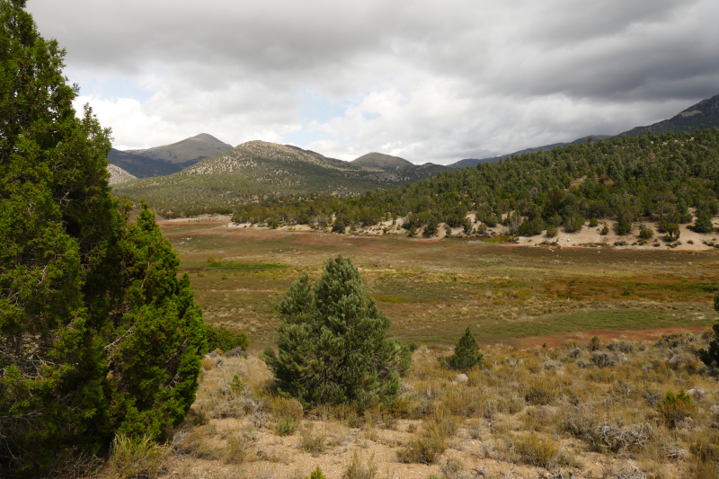 Square Top Loop [Cave Lake State Park - Humboldt National Forest]