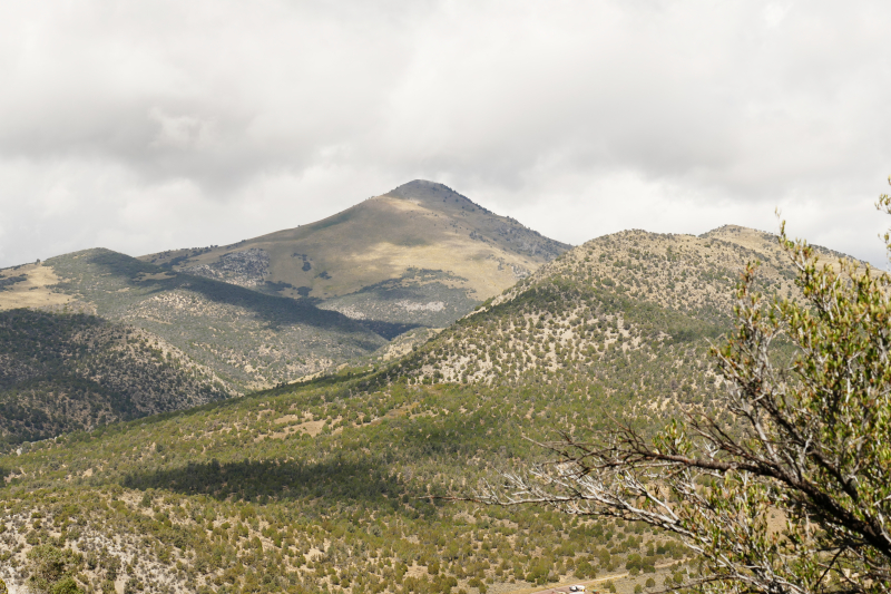 Square Top Loop [Cave Lake State Park - Humboldt National Forest]