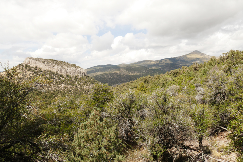 Square Top Loop [Cave Lake State Park - Humboldt National Forest]