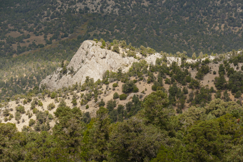 Square Top Loop [Cave Lake State Park - Humboldt National Forest]