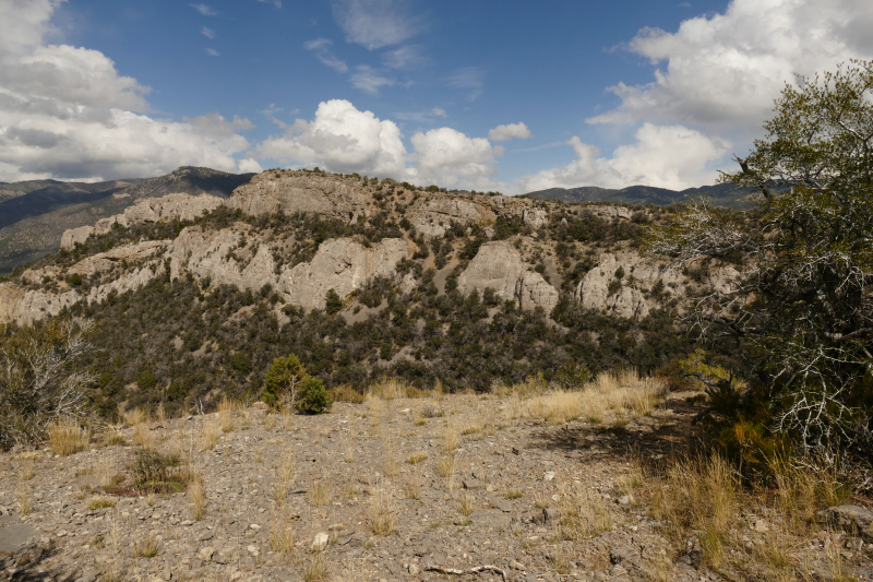 Square Top Loop [Cave Lake State Park - Humboldt National Forest]