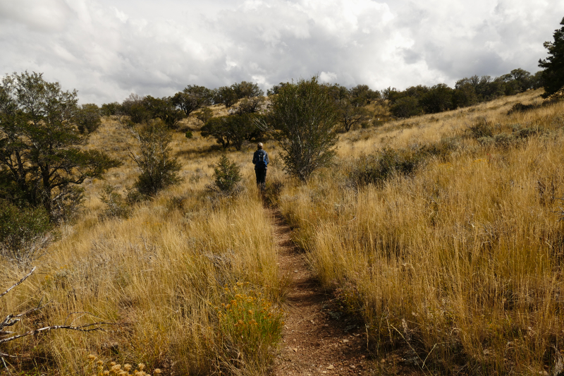 Square Top Loop [Cave Lake State Park - Humboldt National Forest]