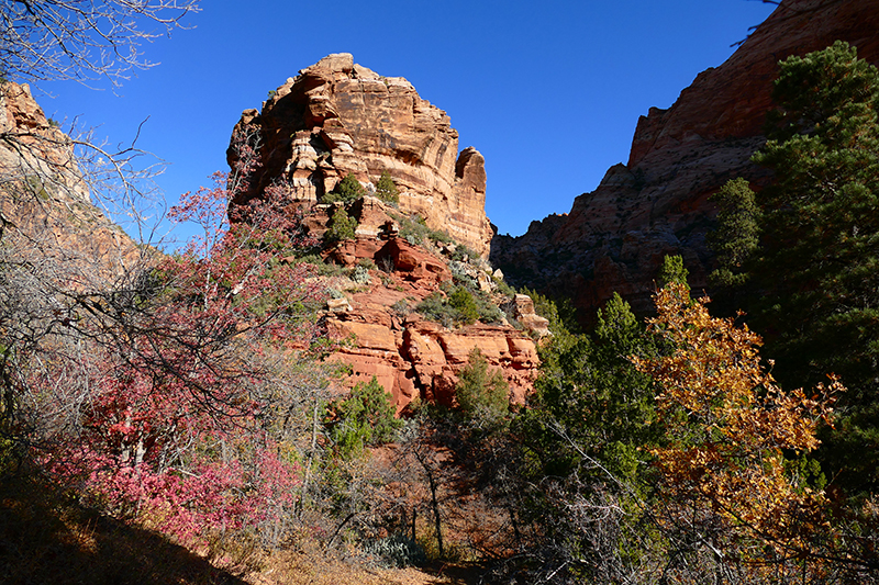 Short Creek und Squirrel Creek [Canaan Mountain]