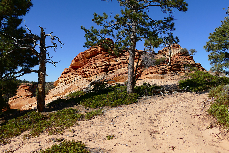 Short Creek und Squirrel Creek [Canaan Mountain]