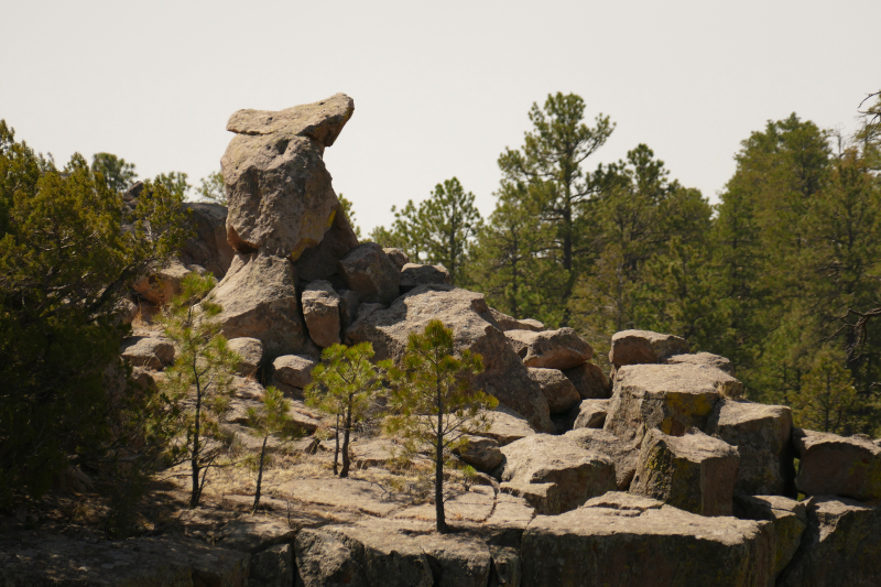 USA Hiking Database: Bilder Stable Mesa und Stable Mesa Arch [Santa Fe National Forest] - Pictures Stable Mesa und Stable Mesa Arch [Santa Fe National Forest]