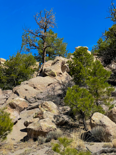 USA Hiking Database: Bilder Stable Mesa und Stable Mesa Arch [Santa Fe National Forest] - Pictures Stable Mesa und Stable Mesa Arch [Santa Fe National Forest]