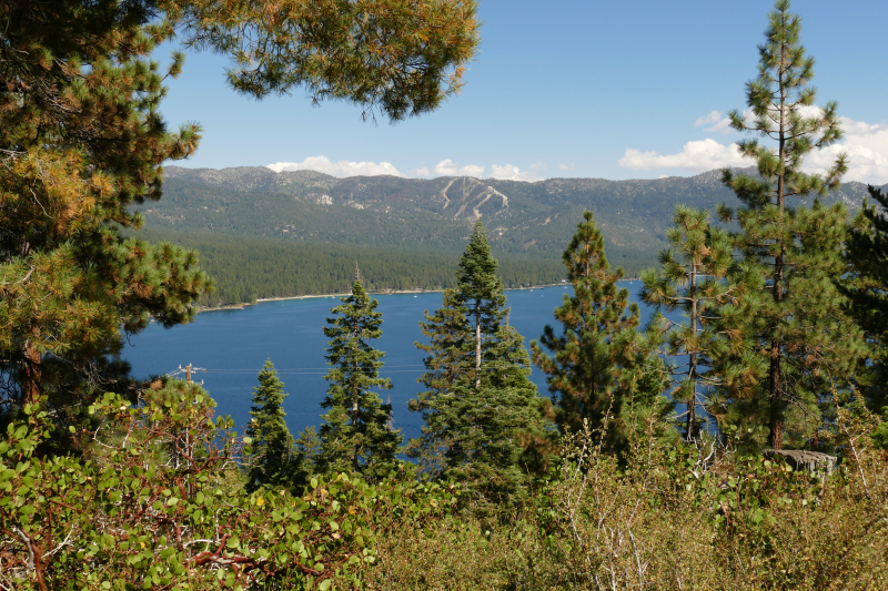 Bilder von Stateline Outlook Tower [Toiyabe National Forest] - Pictures of Stateline Outlook Tower [Toiyabe National Forest]