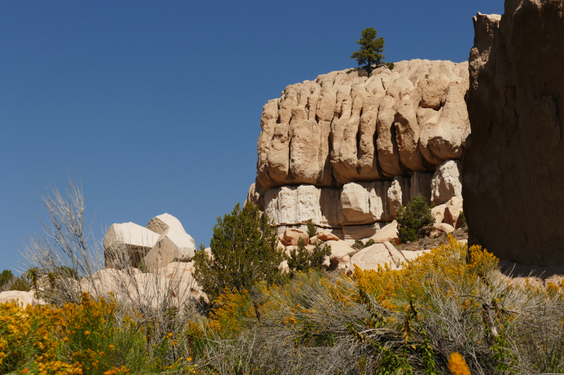 Stone Cabin Trail [Spring Valley State Park]