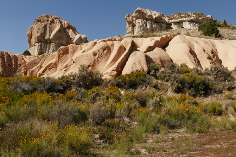 Stone Cabin Trail [Spring Valley State Park]