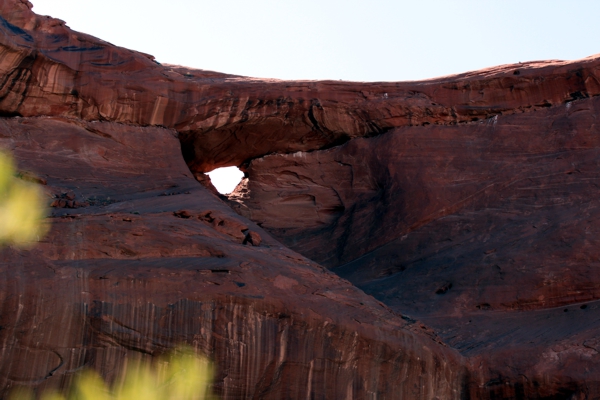 Strawberry Arch