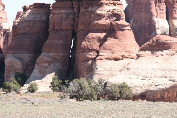 Strong Together Arch