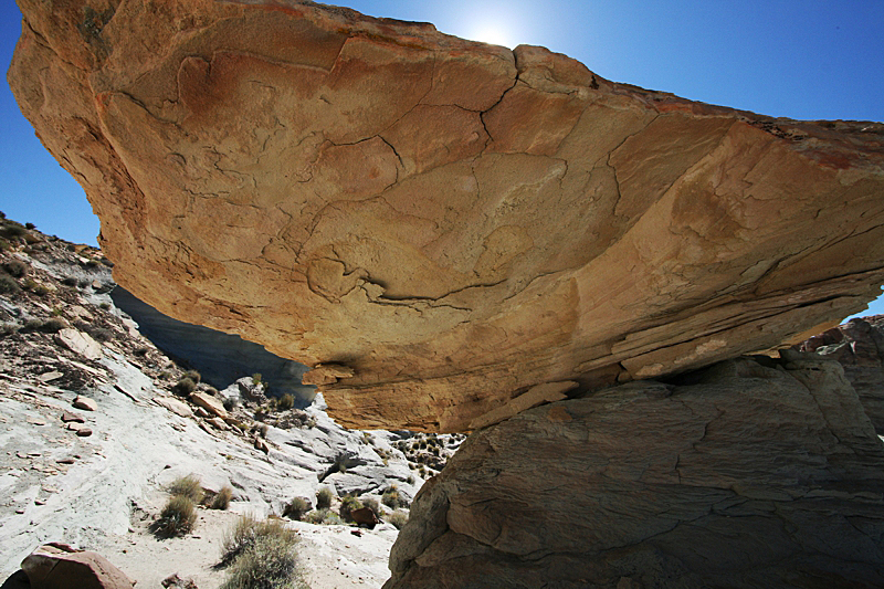 Stud Horse Point