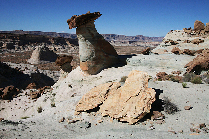 Stud Horse Point