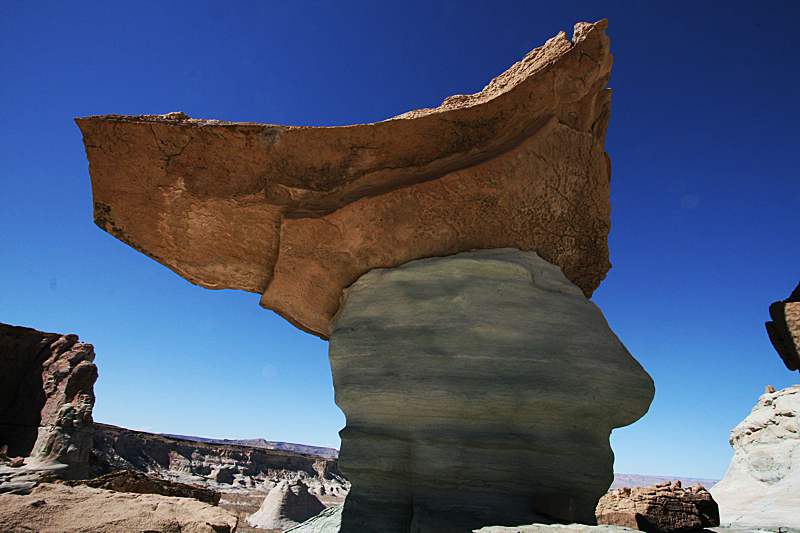 Stud Horse Point