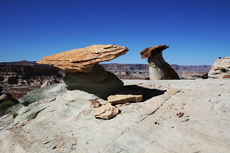 Stud Horse Point