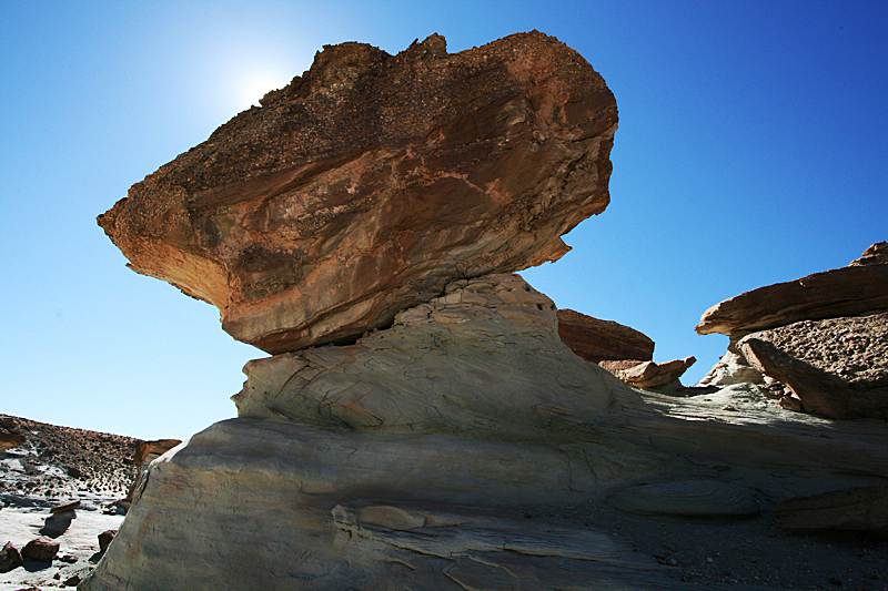 Stud Horse Point