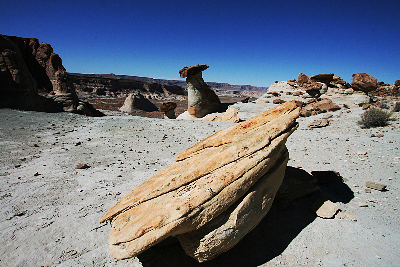 Stud Horse Point