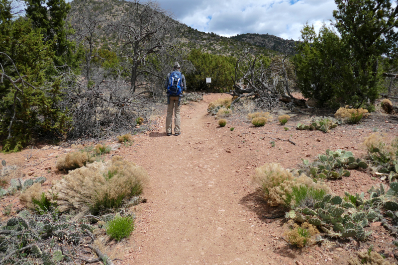 Sun Mountain Trail [Santa Fe National Forest]