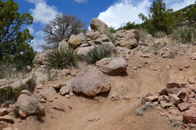 Sun Mountain Trail [Santa Fe National Forest]