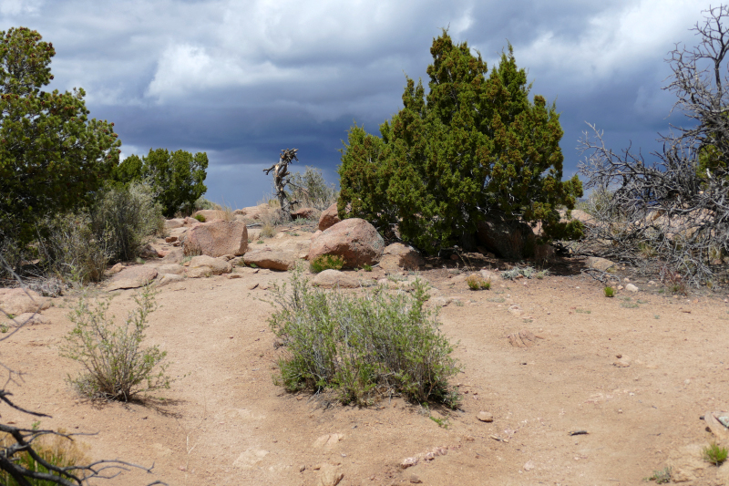 Sun Mountain Trail [Santa Fe National Forest]