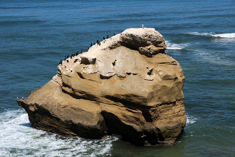 Sunset Cliffs and Arches San Diego