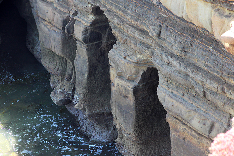 Sunset Cliffs and Arches San Diego