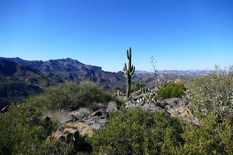 Superstition Mountains