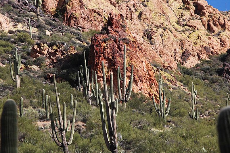 Superstition Mountains