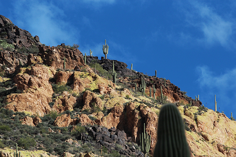 Miners Needle Trail Dutchman Trail