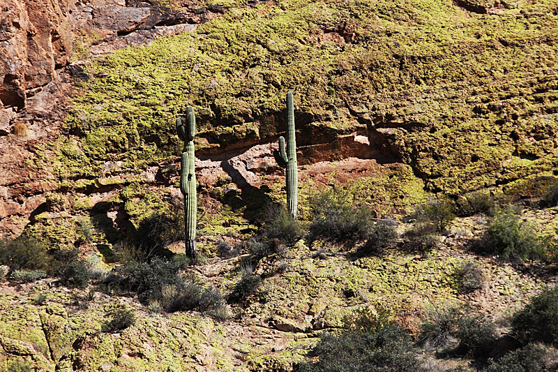 Miners Needle Trail Dutchman Trail