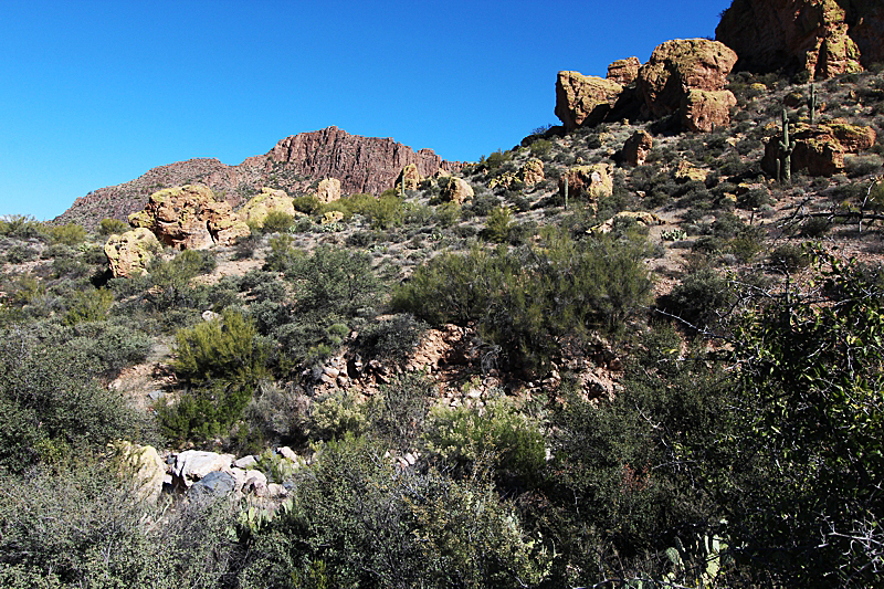 Superstition Mountains