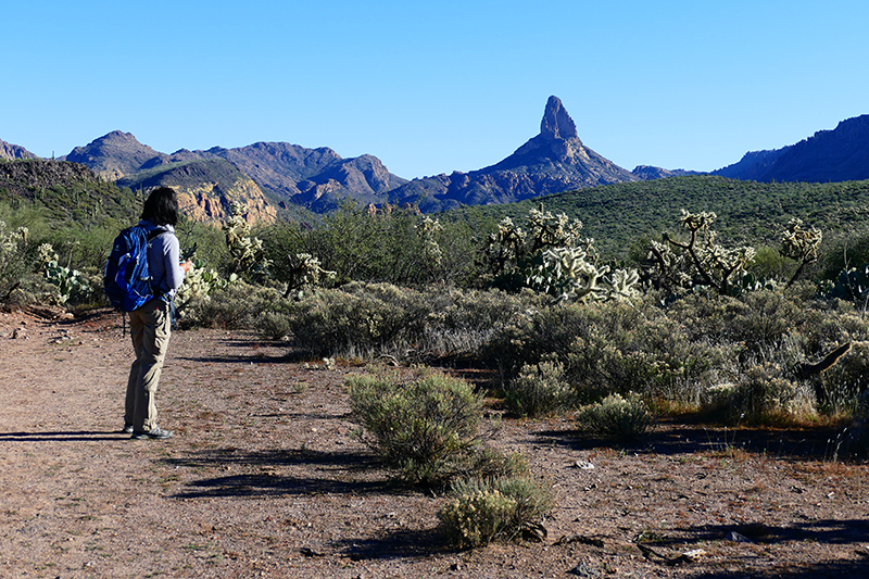 Black Top Mesa [Superstition Mountains]