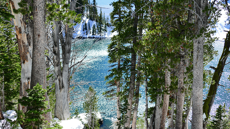 Taggart Lake - Bradley Lake - Surprise Lake - Amphitheatre Lake [Grand Teton National Park]