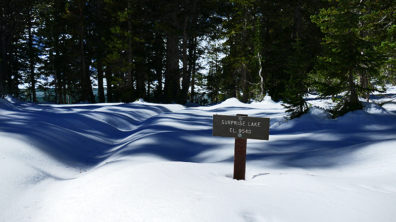 Taggart Lake - Bradley Lake - Surprise Lake - Amphitheatre Lake [Grand Teton National Park]