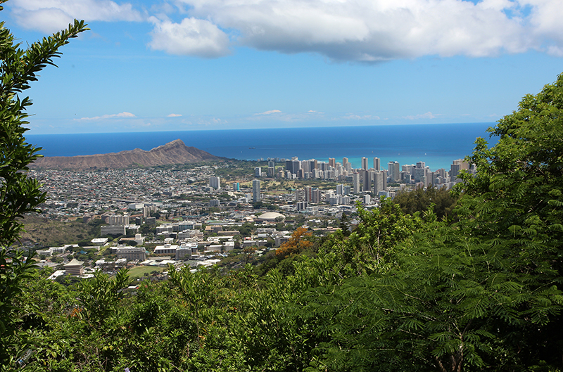 Tantalus Drive - Pu'u Ulaka'a State Park [Oahu - Hawai'i]