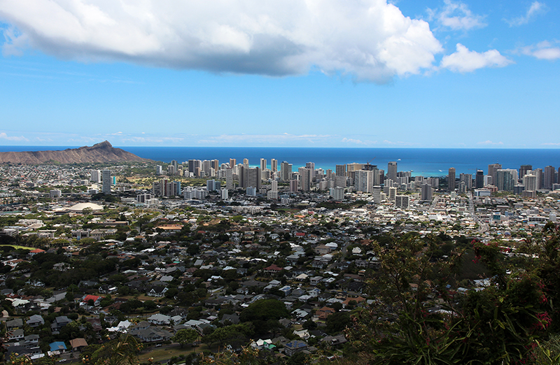 Tantalus Drive - Pu'u Ulaka'a State Park [Oahu - Hawai'i]