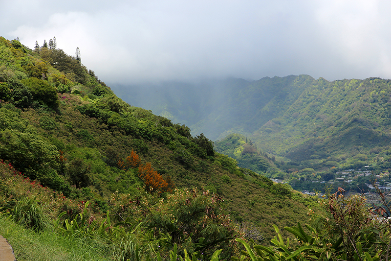 Tantalus Drive - Pu'u Ulaka'a State Park [Oahu - Hawai'i]